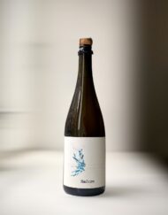 Mazero Blanc de Blanc Chardonnay Masiero
