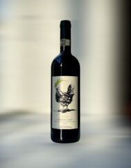 barbera d'Asti naturvin Piemonte pasta vin